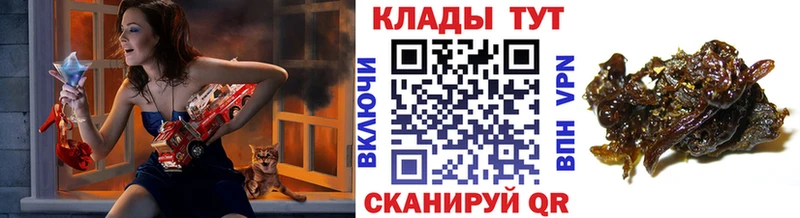 Купить наркотики Северская МАРИХУАНА АМФЕТАМИН ГАШИШ COCAIN