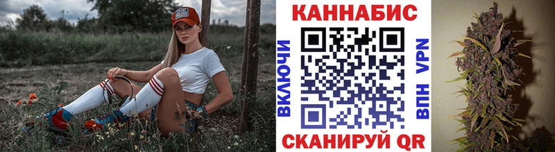 Конопля планчик  Северская 